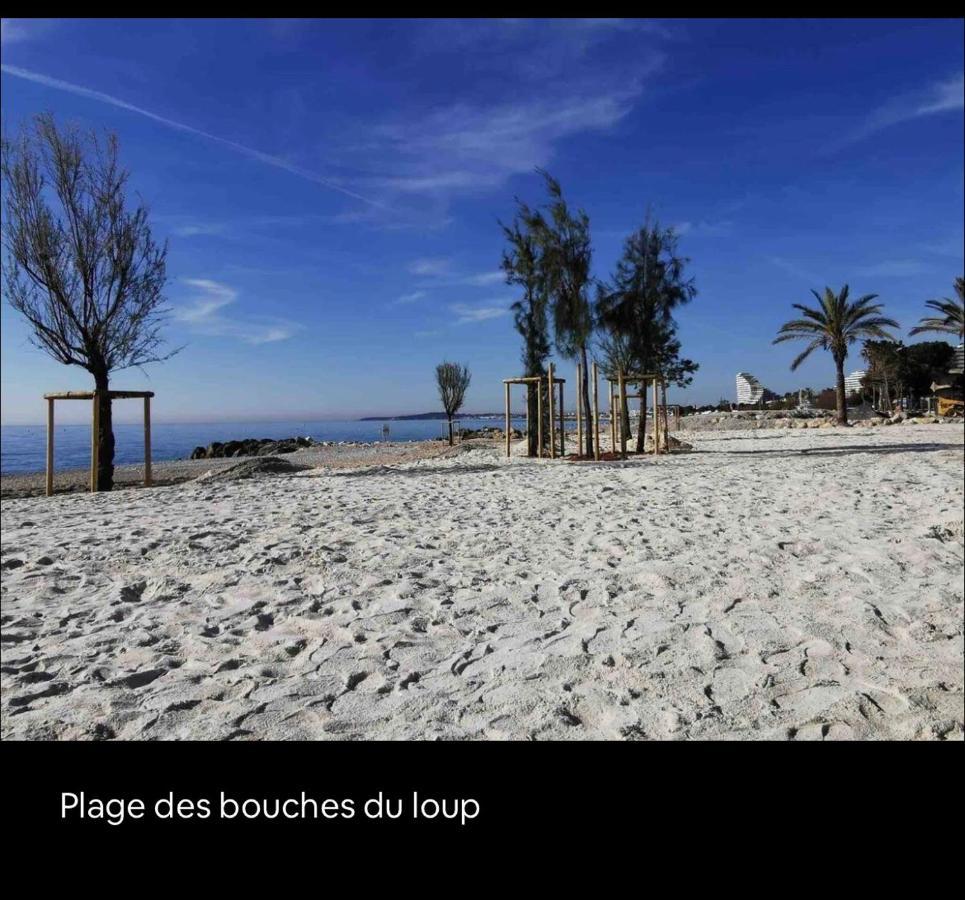 Loft Marina Direct Plage Apartment Villeneuve-Loubet Exterior photo