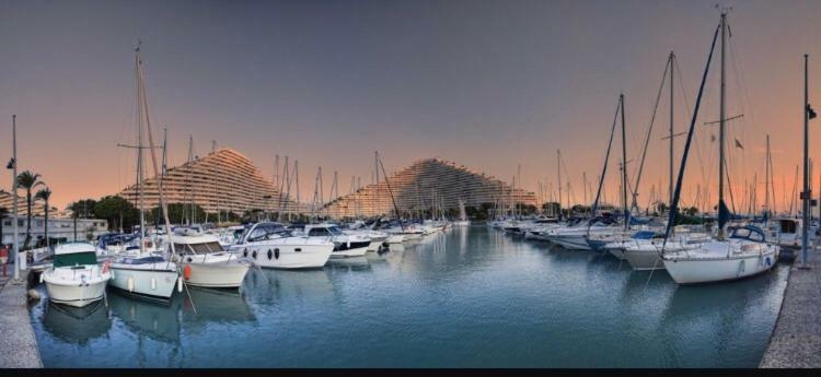 Loft Marina Direct Plage Apartment Villeneuve-Loubet Exterior photo